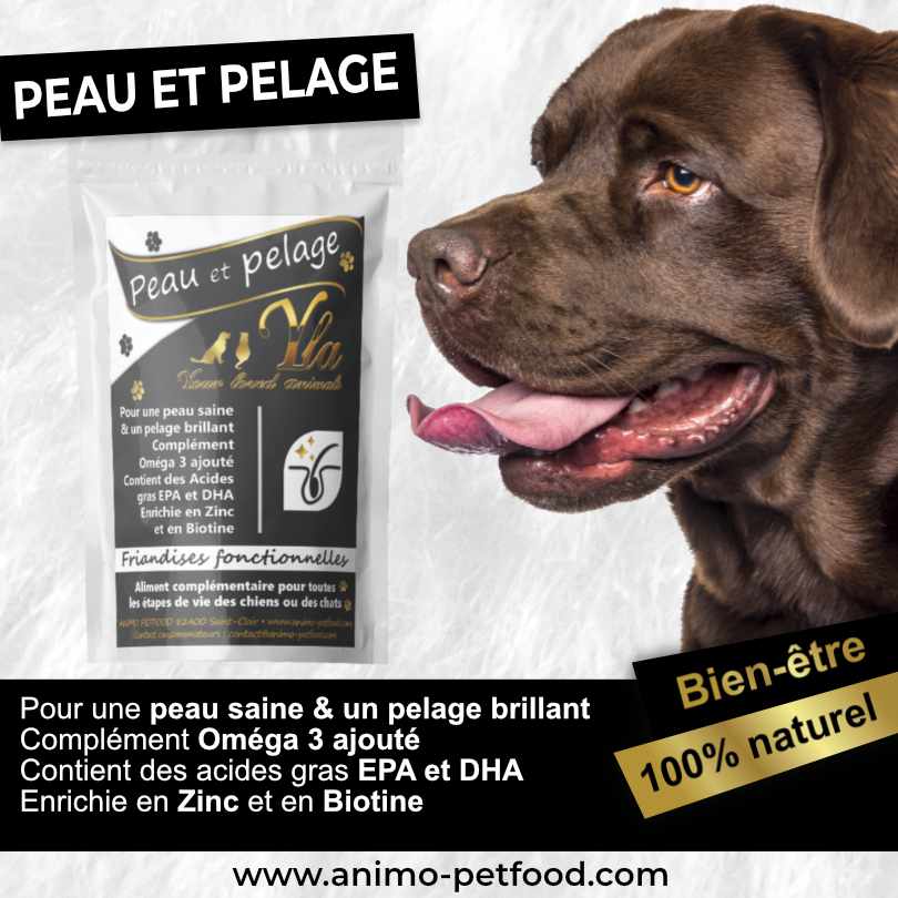 friandise-peau-et-pelage-pour-chien-et-chiot